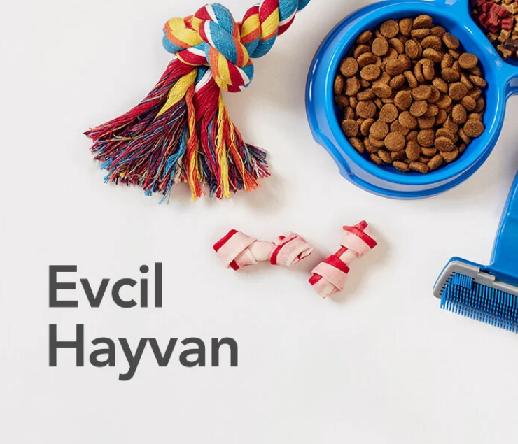 DNZ Yeni Blog Test Meta ve Titlesız