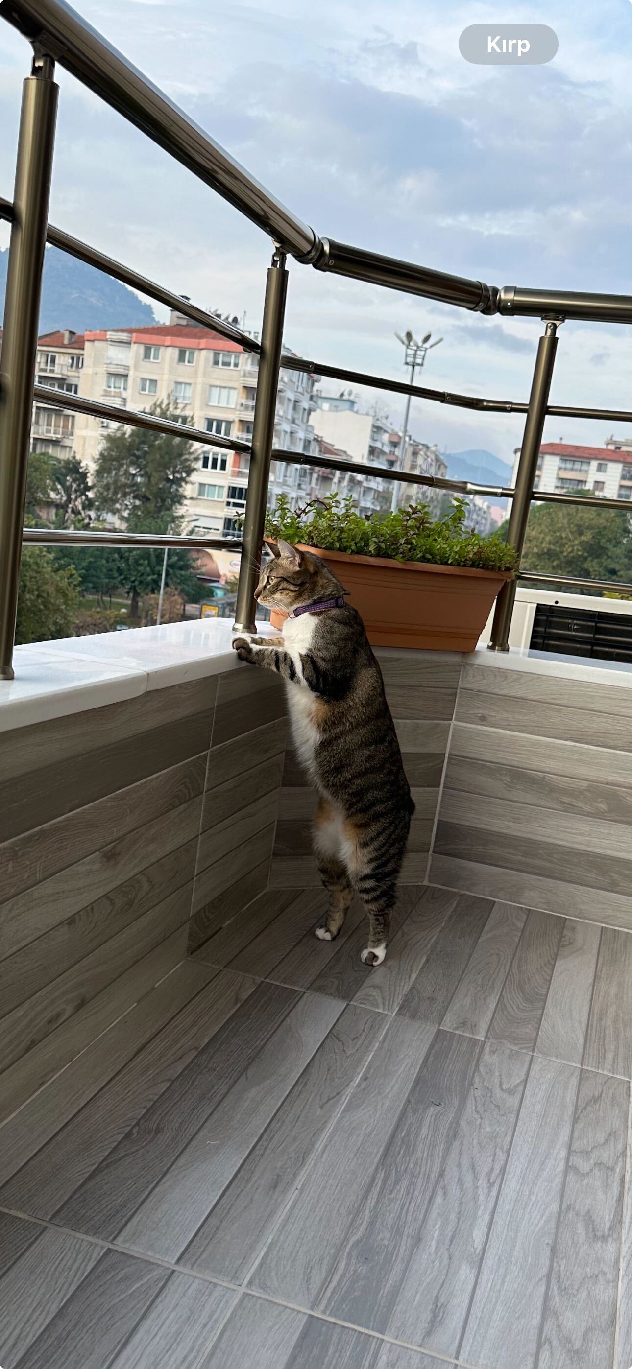 Harun river ve detay görsel kontrolü 15 görsel Harun river ve detay görsel kontrolü 15 görsel Harun river ve detay görsel kontrolü 15 görsel Harun river ve detay görsel kontrolü 15 görsel Harun river ve detay görsel kontrolü 15 görsel Harun river ve detay görsel kontrolü 15 görsel Harun river ve detay görsel kontrolü 15 görsel Harun river ve detay görsel kontrolü 15 görsel Harun river ve detay görsel kontrolü 15 görsel Harun river ve detay görsel kontrolü 15 görsel Harun river ve detay görsel kontrolü 15 görsel Harun river ve detay görsel kontrolü 15 görsel Harun river ve detay görsel kontrolü 15 görsel Harun river ve detay görsel kontrolü 15 görsel Harun river ve detay görsel kontrolü 15 görsel Harun river ve detay görsel kontrolü 15 görsel Harun river ve detay görsel kontrolü 15 görsel Harun river ve detay görsel kontrolü 15 görsel Harun river ve detay görsel kontrolü 15 görsel Harun river ve detay görsel kontrolü 15 görsel Harun river ve detay görsel kontrolü 15 görsel Harun river ve detay görsel kontrolü 15 görsel Harun river ve detay görsel kontrolü 15 görsel Harun river ve detay görsel kontrolü 15 görsel Harun river ve detay görsel kontrolü 15 görsel Harun river ve detay görsel kontrolü 15 görsel Harun river ve detay görsel kontrolü 15 görsel Harun river ve detay görsel kontrolü 15 görsel Harun river ve detay görsel kontrolü 15 görsel Harun river ve detay görsel kontrolü 15 görsel Harun river ve detay görsel kontrolü 15 görsel Harun river ve detay görsel kontrolü 15 görsel Harun river ve detay görsel kontrolü 15 görsel Harun river ve detay görsel kontrolü 15 görsel Harun river ve detay görsel kontrolü 15 görsel Harun river ve detay görsel kontrolü 15 görsel Harun river ve detay görsel kontrolü 15 görsel Harun river ve detay görsel kontrolü 15 görsel Harun river ve detay görsel kontrolü 15 görsel Harun river ve detay görsel kontrolü 15 görsel Harun river ve detay görsel kontrolü 15 görsel Harun river ve detay görsel kontrolü 15 görsel Harun river ve detay görsel kontrolü 15 görsel Harun river ve detay görsel15 görsel -15